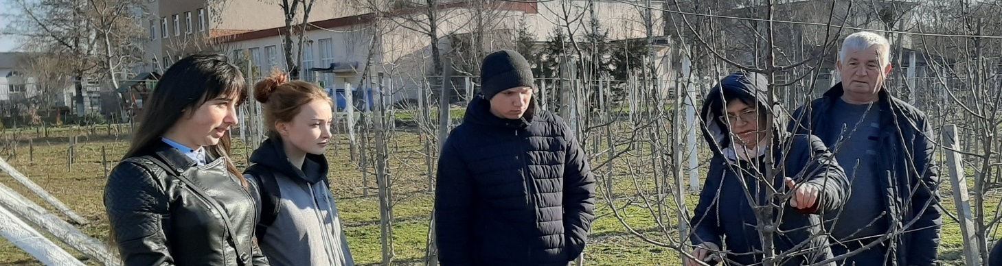 Моніторинг стану насаджень яблуні